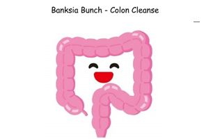 Colon Cleanse