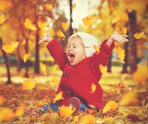 Child playing in autumn leaves